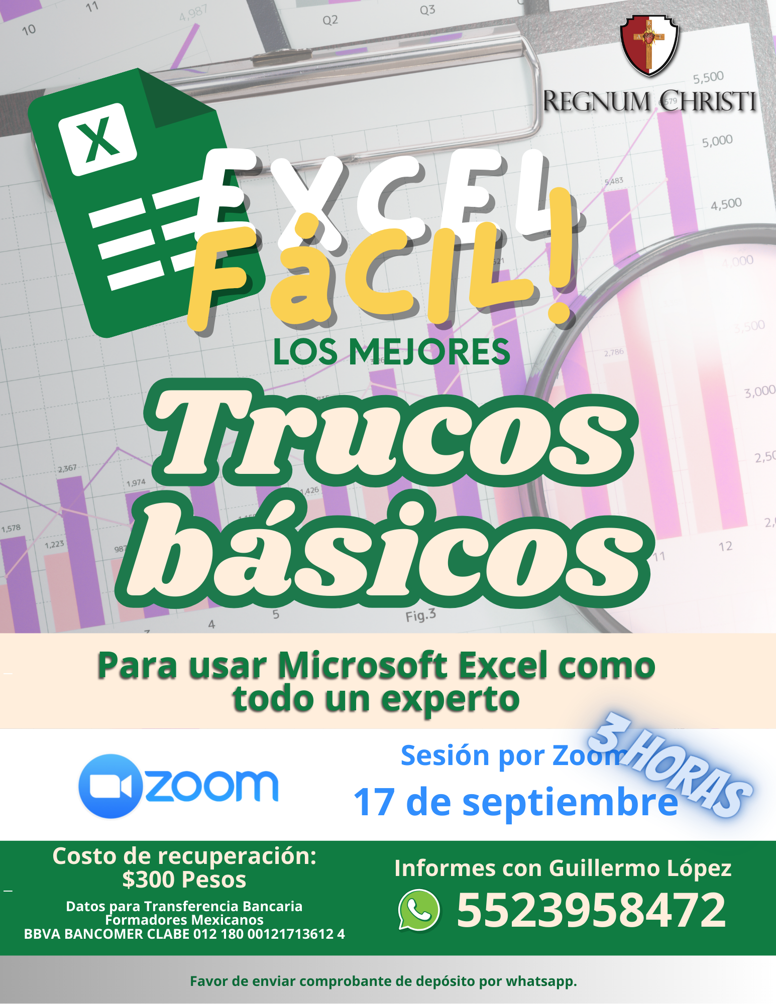 ¡Domina Excel con facilidad!